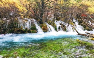 江西九寨沟旅游路线：南昌出发经成都高铁5日游与门票预约指南