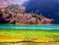 重庆这10个5A级景区，我去过8个，更后一个真绝了！