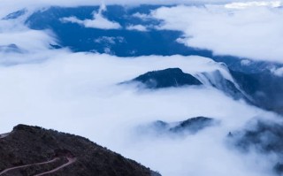 高州周末别去挤笔架山了，这些地方才叫真香