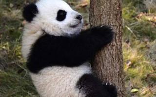 去邯郸别只盯着丛台了，这十个红色景区才是真·沉浸式历史课，更后一个我待了一整天