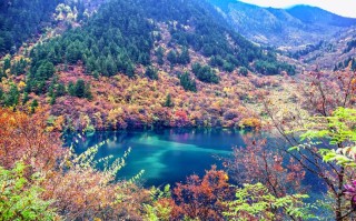2012年10月九寨沟每日入园人数统计与客流趋势分析