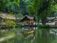成都新津古镇一日游：一条老街、一座古观、一桌河鲜，把川西慢生活吃透逛透