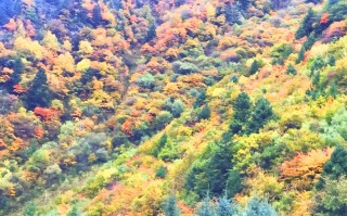 米仓大道10月1日正式通车：光雾山到诺水河仅需1小时，通江12个景区邀您打卡