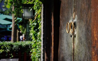 空港花田到底怎么玩 门票价格与游览全攻略