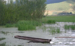 成都国庆周边旅游采摘：2026成都金秋采摘全攻略