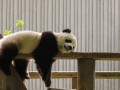 贵州凭什么入选中国十大生态旅游景区？说真的，看完你就懂了