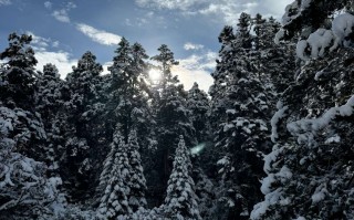 理县毕棚沟旅游攻略｜雪景实拍图片、理县深度体验与周边联动