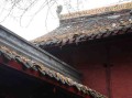 邢台十大红色旅游景区，一场穿越时空的信仰之旅