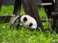 福建这十个地方，去过五个算你厉害