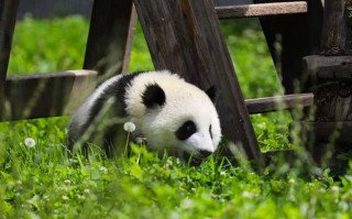 兴业县这十个地方，没去过五个以上算白来玉林了