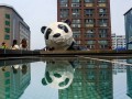 长三角十大著名旅游景区，去过五个算你厉害