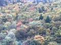 达古冰川穿什么？一套“三层穿法”搞定彩林和雪山