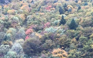 达古冰川穿什么？一套“三层穿法”搞定彩林和雪山