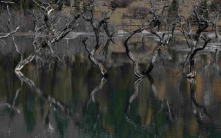 四川2月旅游：一半冰雪一半春，选对方向才不踩雷