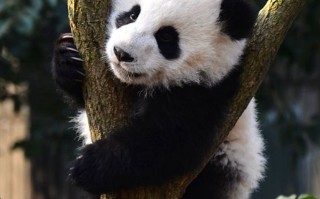 十大名山旅游风景区排名，我爬完后的真心话，有些山真不值得排那么高！