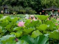纳溪区十大旅游风景区，藏在川南的宝藏秘境，你去过几个？