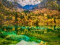 成都周边旅游地方推荐：2026秋季按主题分类的实用指南