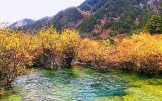 米亚罗沟红叶：三千里红涛，一场藏羌走廊的秋日狂欢