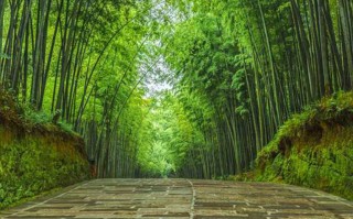 巴山大峡谷简介，巴山大峡谷旅游攻略