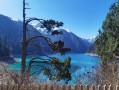 九寨沟旅游花销：旺季自由行与跟团游预算怎么算