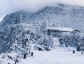 重庆到峨眉山旅游｜不用赶早，3小时就能上山看云海