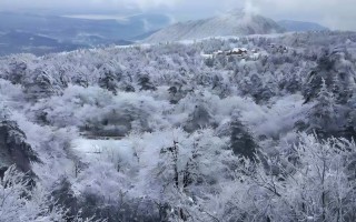 峨眉山红叶一日游感悟：解锁“高山区极致红叶”与禅意温泉的心灵对话，在10月下旬邂逅仙山诗行