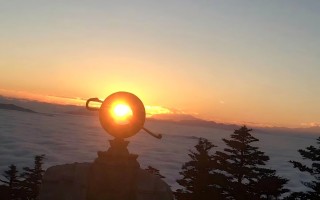 成都旅游景点排名榜2026：熊猫基地、都江堰、武侯祠、青城山谁更值得去