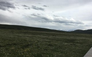 现在四川旅游：盆地阴雨，高原放晴，秋色进入后半程