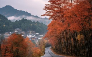 光雾山红叶节2026：解锁“9月绿意酝酿”与10月巅峰期前瞻，在10月下旬邂逅东方圣山诗行