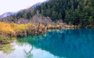 武汉到九寨沟旅游攻略：2026高铁、直飞、自驾、跟团怎么选