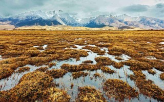 格聂旅游价钱怎么算？2026年格聂南线、格聂之眼预算参考