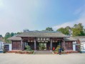 5月成都周边旅游｜初夏出发，把花海、溪流和山野一次装进周末