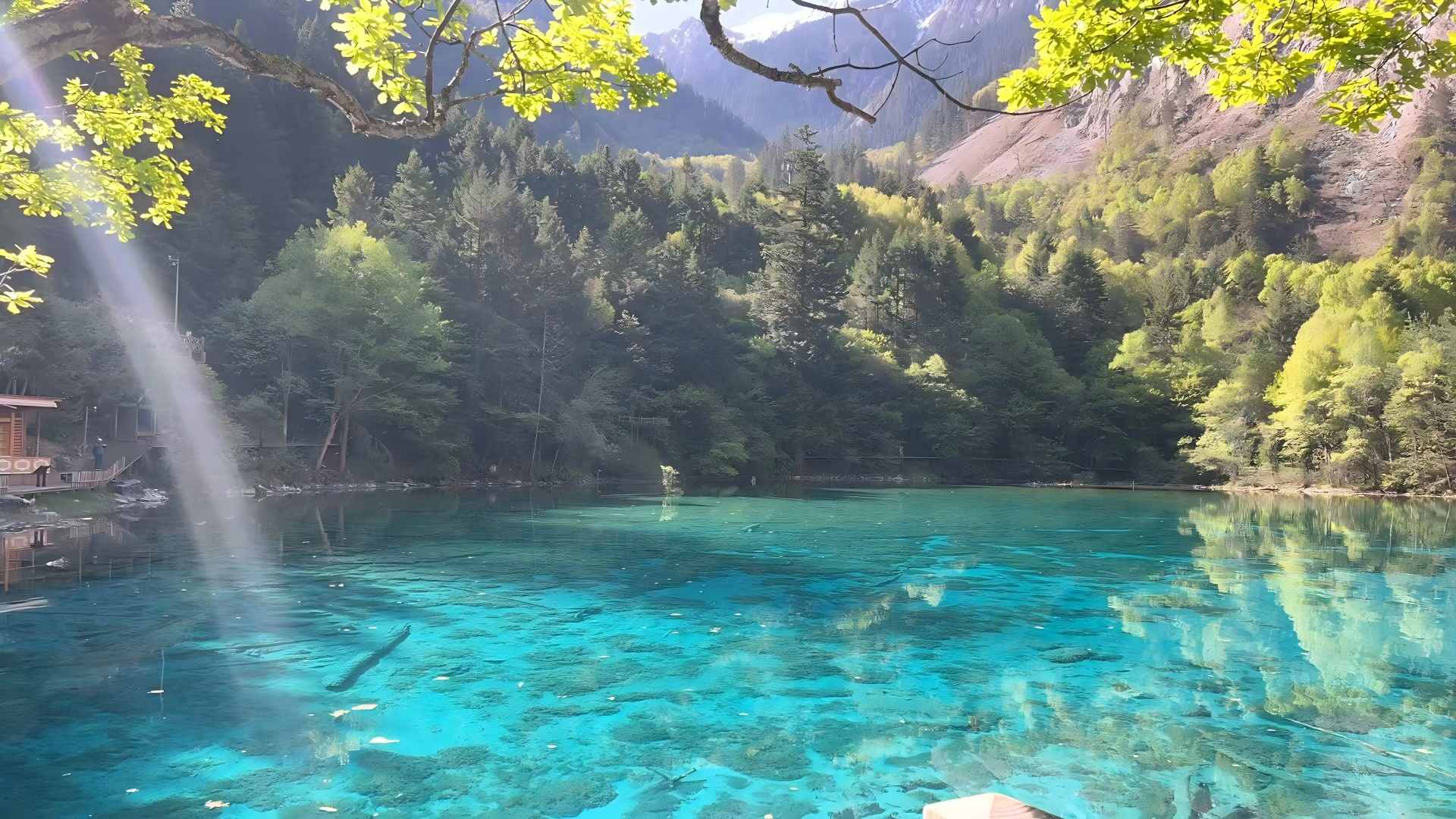 九寨沟图片,九寨沟风景图片-第4张图片-四川省中国青年旅行社官网 四川中青旅 九寨沟图片,九寨沟风景图片-第4张图片-四川省中国青年旅行社官网 四川中青旅