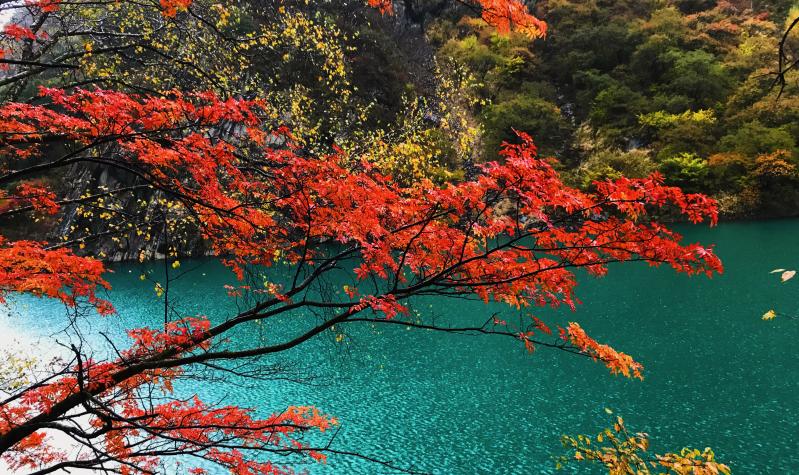 松坪沟简介,松坪沟旅游攻略-第6张图片-四川省中国青年旅行社官网 四川中青旅 松坪沟简介,松坪沟旅游攻略-第6张图片-四川省中国青年旅行社官网 四川中青旅