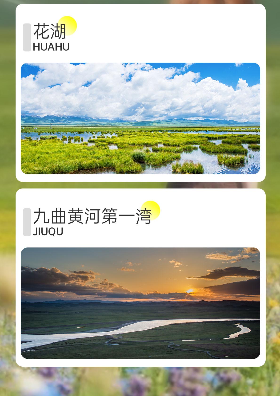 五日游,九曲+若尔盖花湖+爱情海+九寨沟+黄龙+四姑娘山环线纯玩小团,爱与自由,成都到九寨沟旅游团-第8张图片-四川省中国青年旅行社官网 四川中青旅 五日游,九曲+若尔盖花湖+爱情海+九寨沟+黄龙+四姑娘山环线纯玩小团,爱与自由,成都到九寨沟旅游团-第8张图片-四川省中国青年旅行社官网 四川中青旅