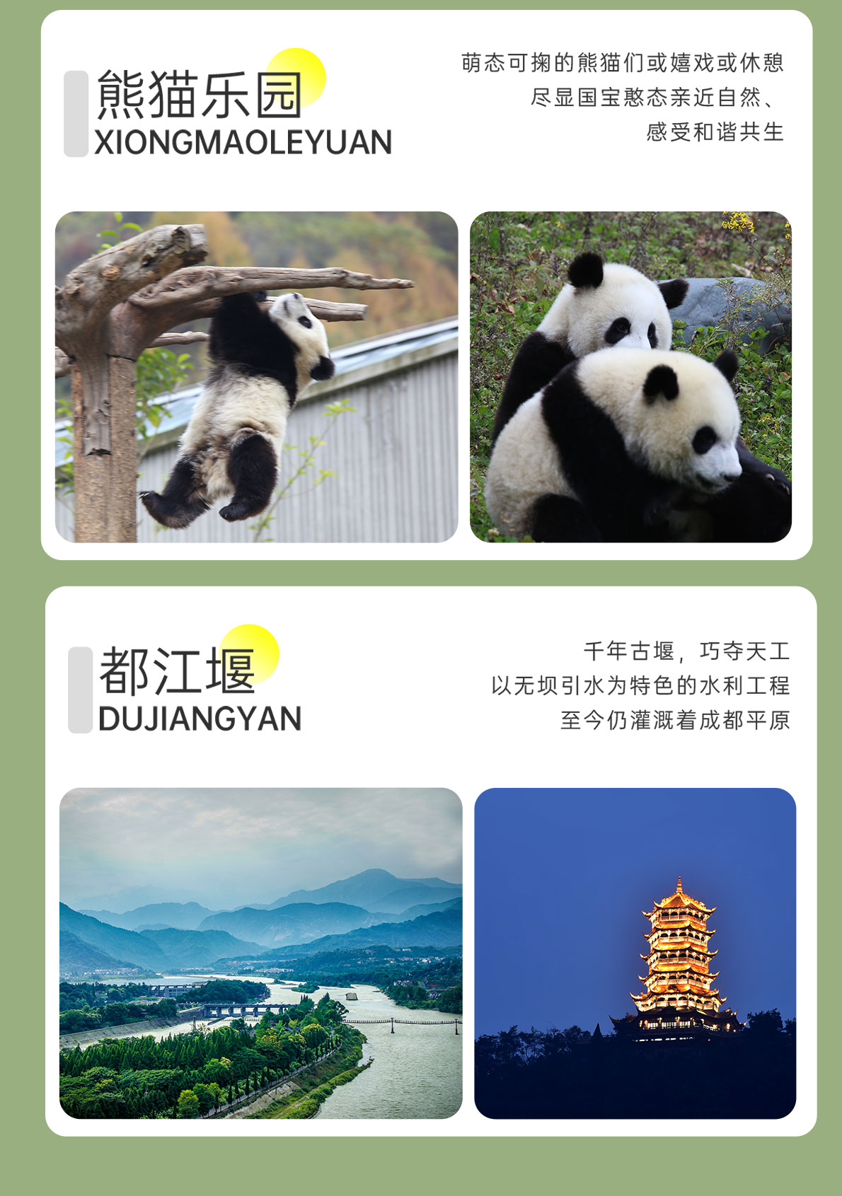 四日游，九寨沟+毕棚沟+四姑娘山+熊猫谷/都江堰8人纯玩小团西进东出，九寨四妹一线牵，成都到九寨沟旅游团-第9张图片-四川省中国青年旅行社官网 四川中青旅