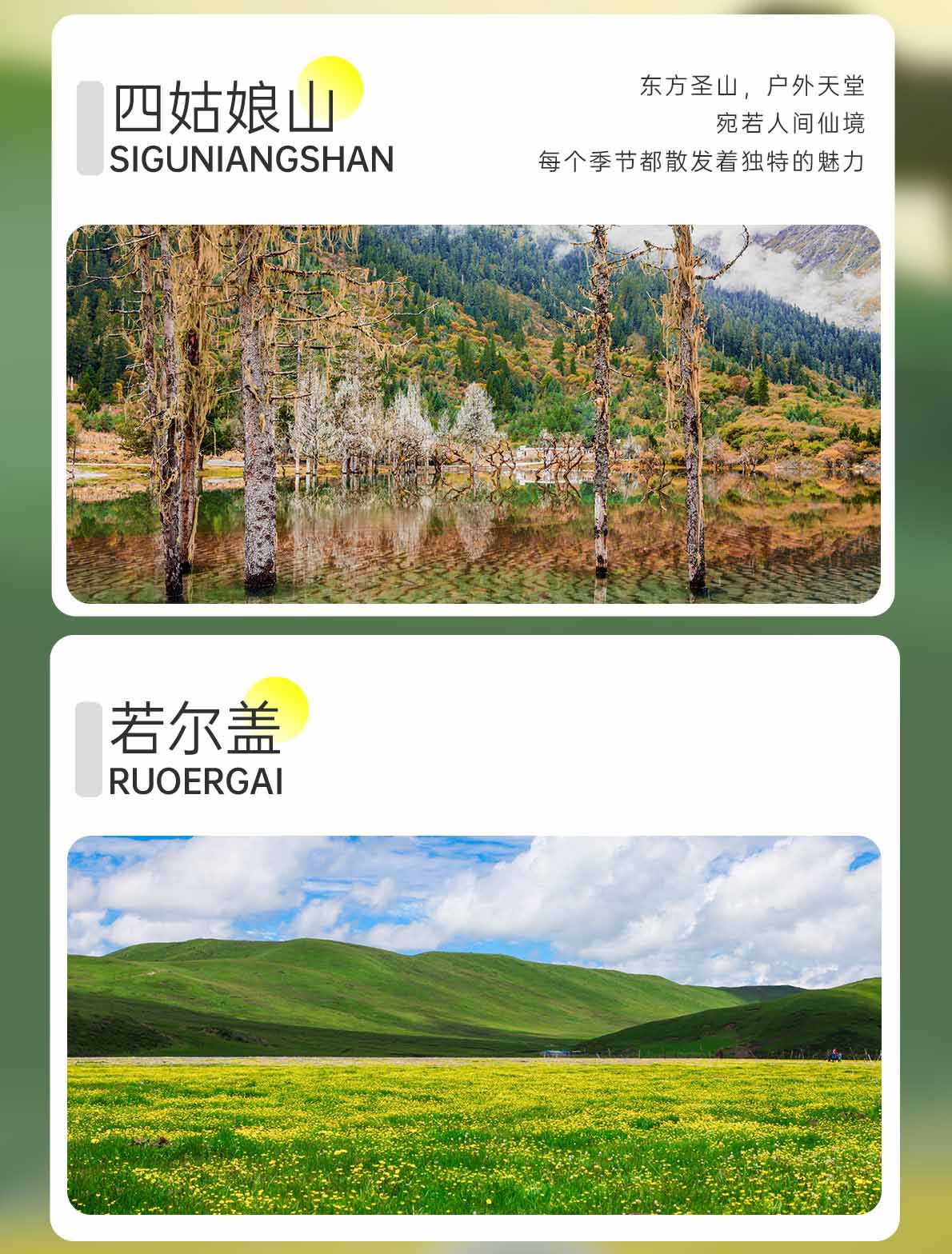 四日游,九曲黄河第一湾+花湖+爱情海+九寨沟+黄龙环线纯玩团,远方有约,成都到九寨沟旅游团-第8张图片-四川省中国青年旅行社官网 四川中青旅 四日游,九曲黄河第一湾+花湖+爱情海+九寨沟+黄龙环线纯玩团,远方有约,成都到九寨沟旅游团-第8张图片-四川省中国青年旅行社官网 四川中青旅
