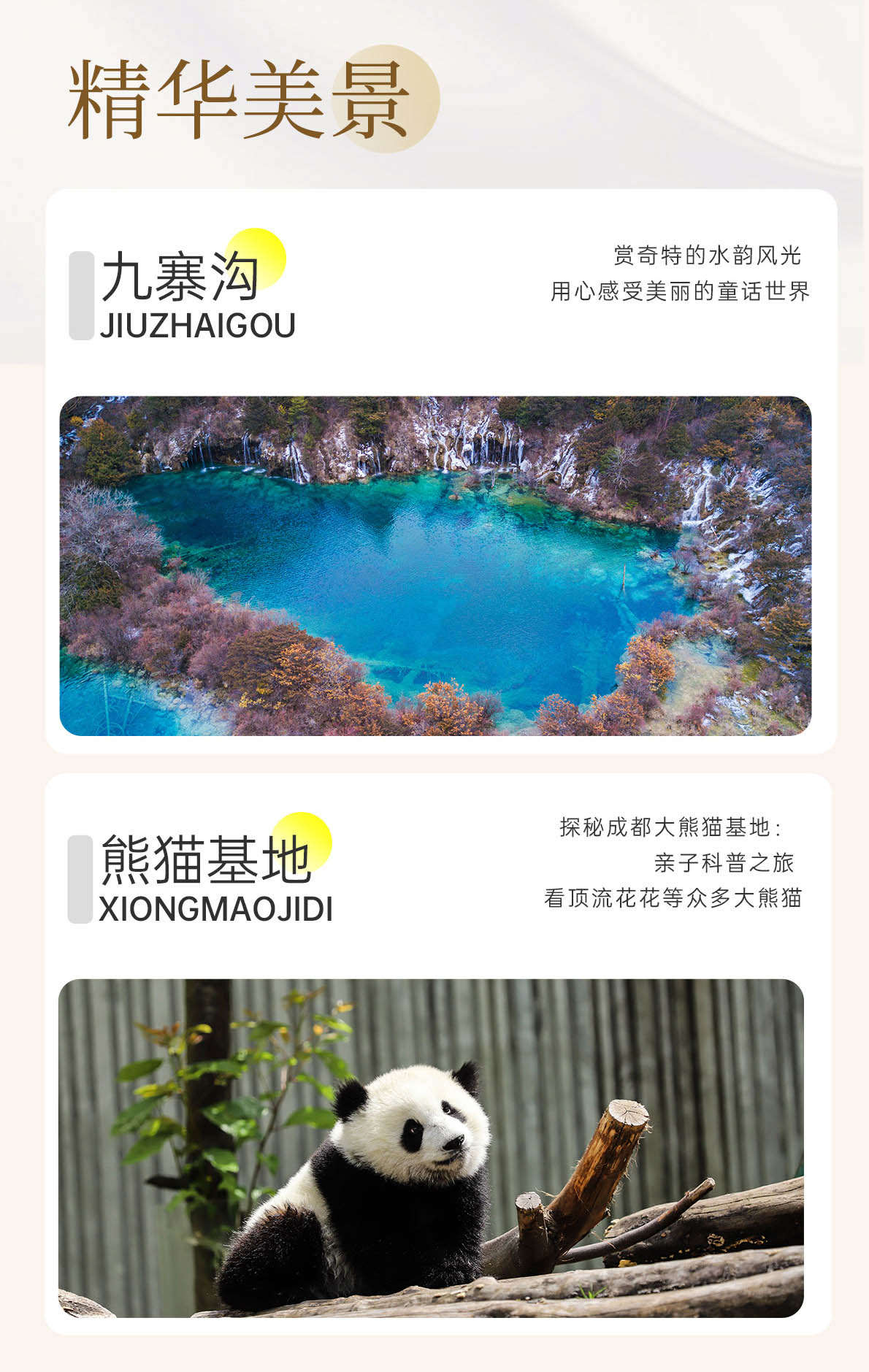 二日游,九寨沟+成都大熊猫繁育研究基地纯玩小团,九绵寻花,成都到九寨沟旅游团-第7张图片-四川省中国青年旅行社官网 四川中青旅 二日游,九寨沟+成都大熊猫繁育研究基地纯玩小团,九绵寻花,成都到九寨沟旅游团-第7张图片-四川省中国青年旅行社官网 四川中青旅