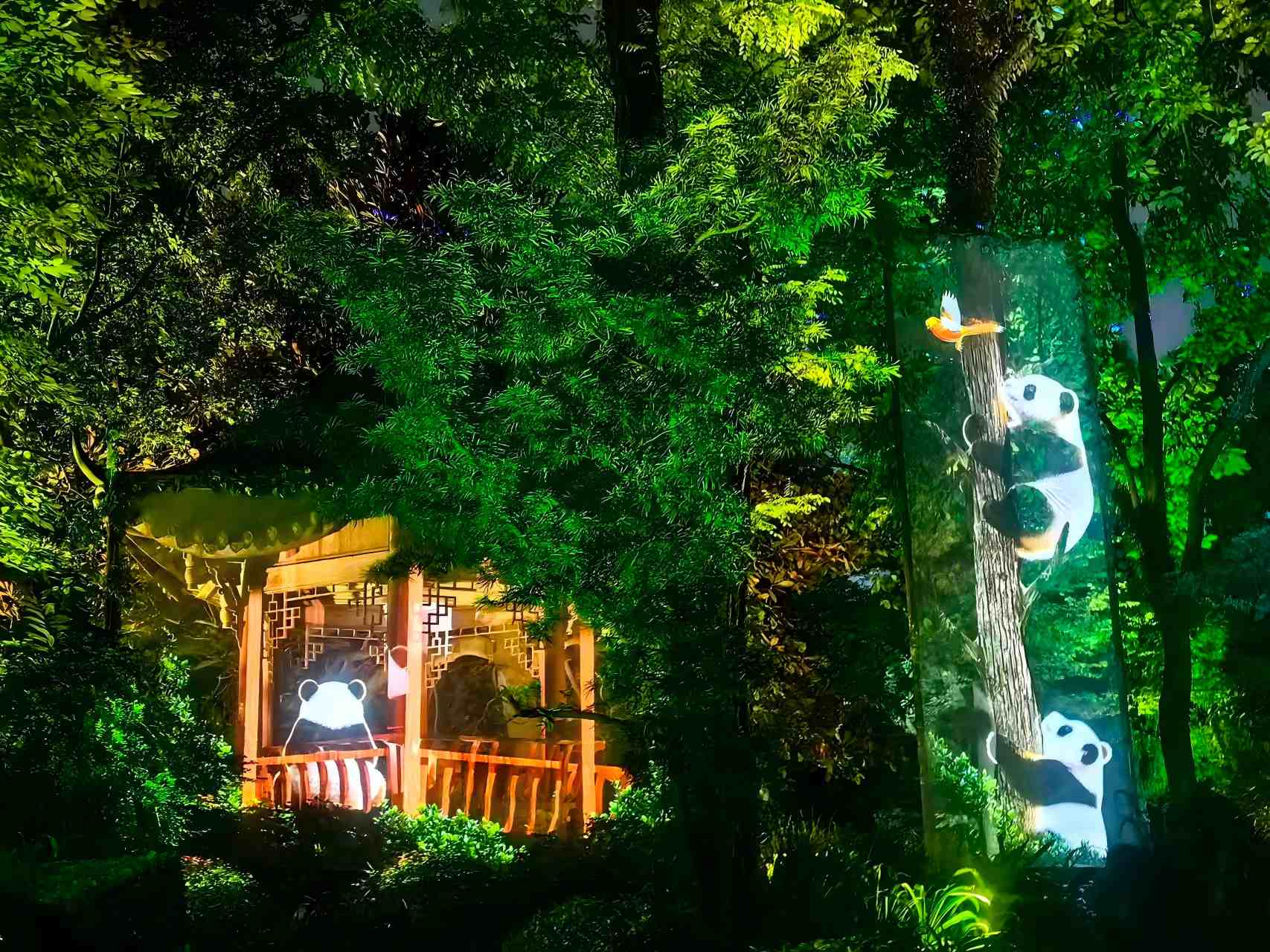 都江堰夜景惊艳亮相 导游镜头定格千年古堰璀璨夜色-第4张图片-四川省中国青年旅行社官网 四川中青旅
