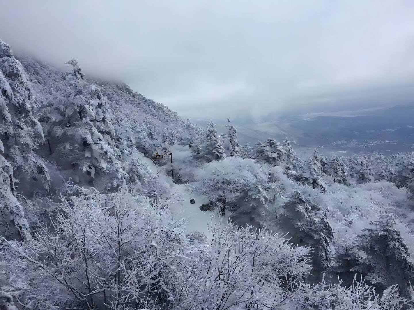峨眉山红叶的说说:把佛国仙山的绚烂秋色,写进朋友圈的九宫格-第1张图片-四川省中国青年旅行社官网 四川中青旅 峨眉山红叶的说说:把佛国仙山的绚烂秋色,写进朋友圈的九宫格-第1张图片-四川省中国青年旅行社官网 四川中青旅