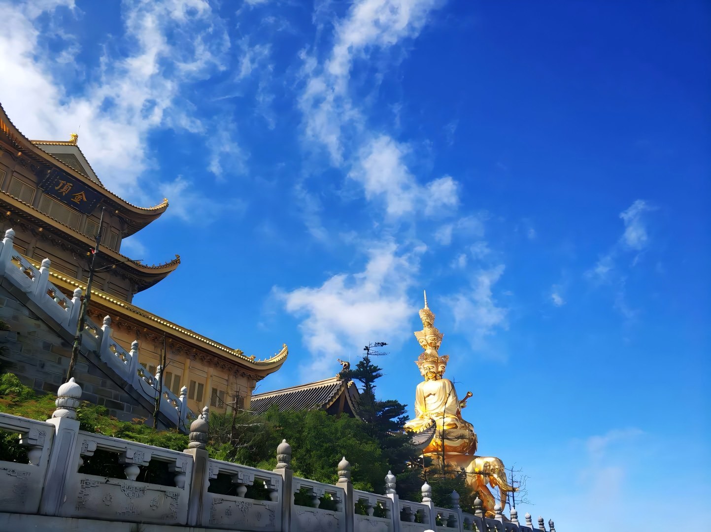 峨眉山红叶照片大全:定格“半山红叶半山云”的极致浪漫-第2张图片-四川省中国青年旅行社官网 四川中青旅 峨眉山红叶照片大全:定格“半山红叶半山云”的极致浪漫-第2张图片-四川省中国青年旅行社官网 四川中青旅