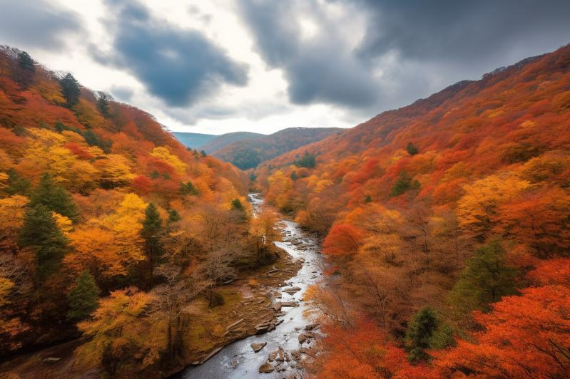 南江光雾山红叶红:解锁“9月绿意酝酿”与10月巅峰期前瞻,在10月下旬邂逅东方圣山诗行-第1张图片-四川省中国青年旅行社官网 四川中青旅 南江光雾山红叶红:解锁“9月绿意酝酿”与10月巅峰期前瞻,在10月下旬邂逅东方圣山诗行-第1张图片-四川省中国青年旅行社官网 四川中青旅