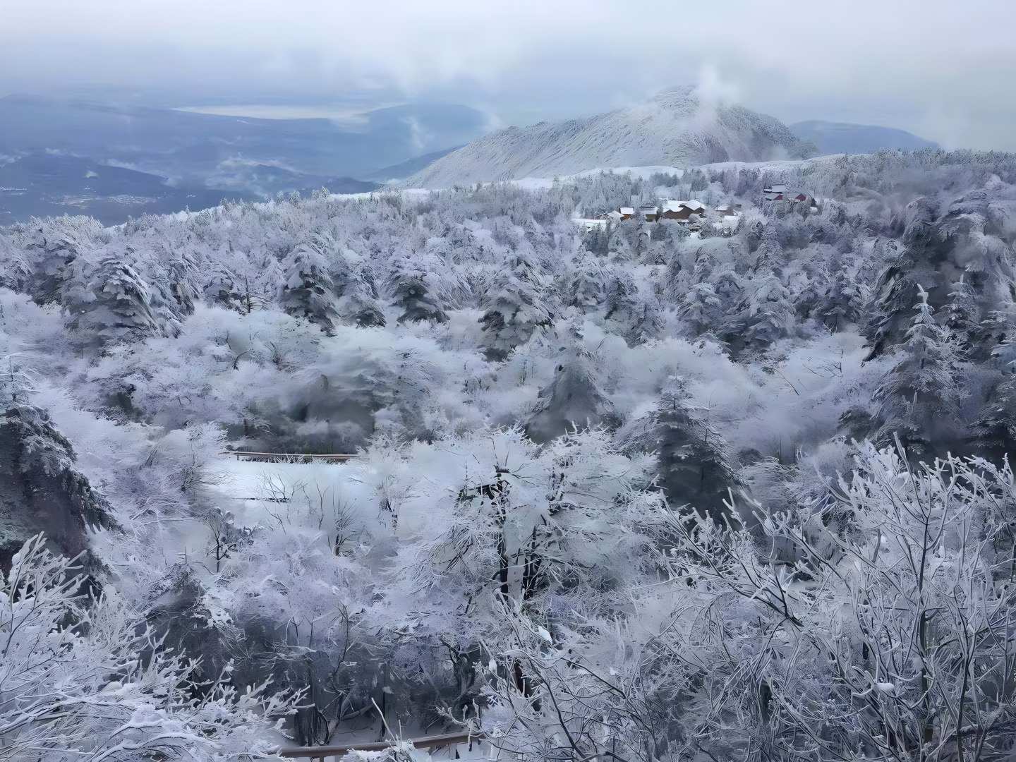 现在峨眉山红叶:解锁“9月绿意酝酿”与10月巅峰期前瞻,在10月下旬邂逅东方圣山诗行-第1张图片-四川省中国青年旅行社官网 四川中青旅 现在峨眉山红叶:解锁“9月绿意酝酿”与10月巅峰期前瞻,在10月下旬邂逅东方圣山诗行-第1张图片-四川省中国青年旅行社官网 四川中青旅