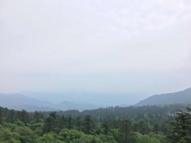 今年峨眉山红叶:2026秋季彩林全攻略,错过再等一年-第1张图片-四川省中国青年旅行社官网 四川中青旅 今年峨眉山红叶:2026秋季彩林全攻略,错过再等一年-第1张图片-四川省中国青年旅行社官网 四川中青旅