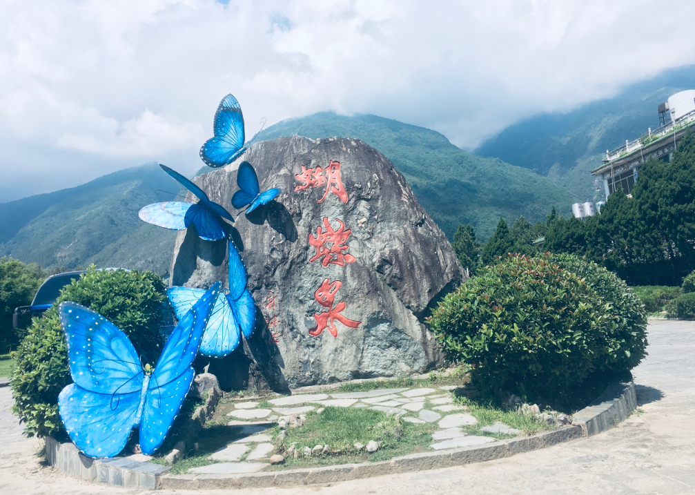 云南蝴蝶泉详细介绍:苍山脚下的诗意秘境-第1张图片-四川省中国青年旅行社官网 四川中青旅 云南蝴蝶泉详细介绍:苍山脚下的诗意秘境-第1张图片-四川省中国青年旅行社官网 四川中青旅