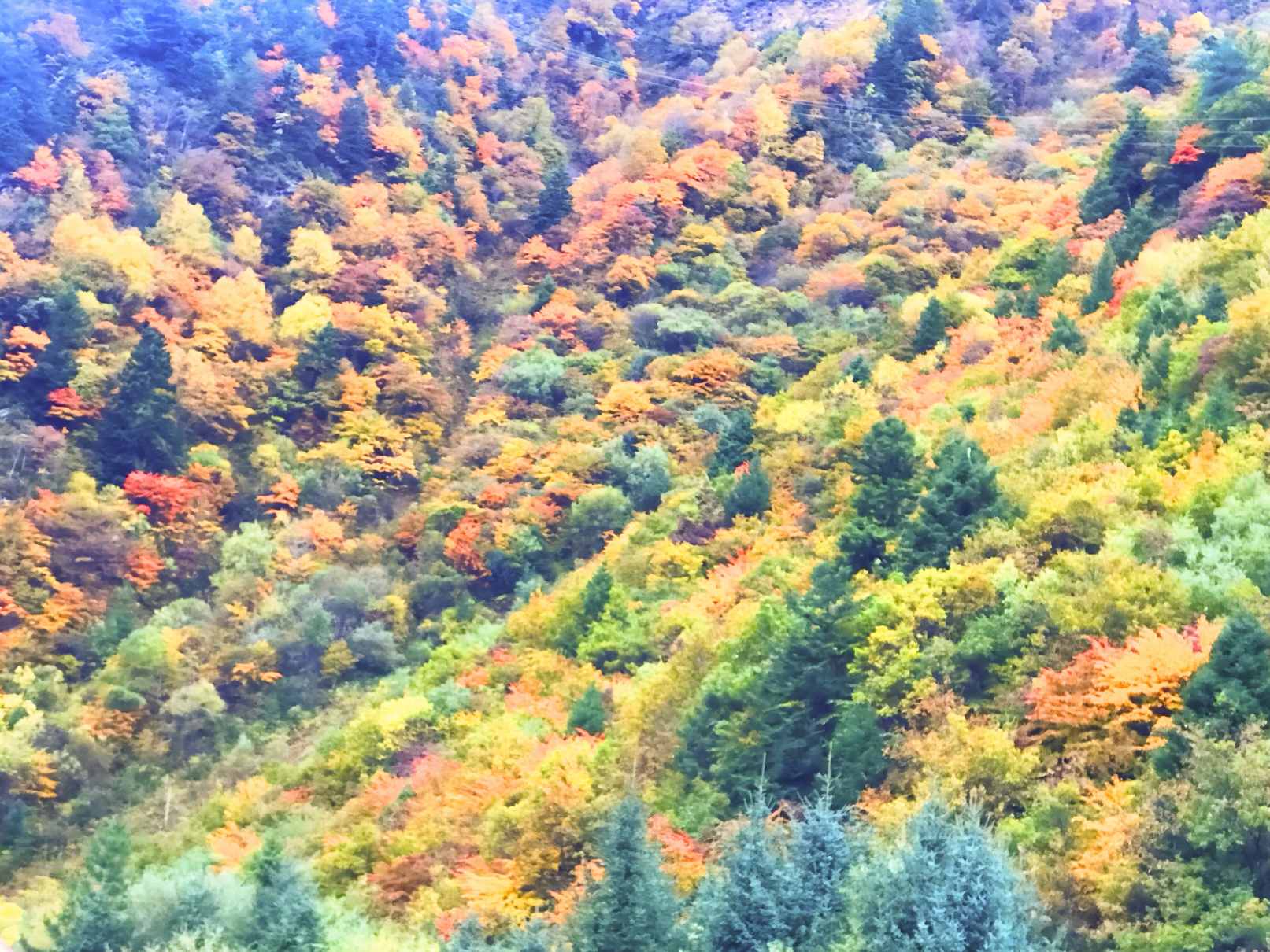 达古冰川索道新票价10月1日起执行:旺季直降60元,初雪季赴冰川之约正当时-第2张图片-四川省中国青年旅行社官网 四川中青旅 达古冰川索道新票价10月1日起执行:旺季直降60元,初雪季赴冰川之约正当时-第2张图片-四川省中国青年旅行社官网 四川中青旅