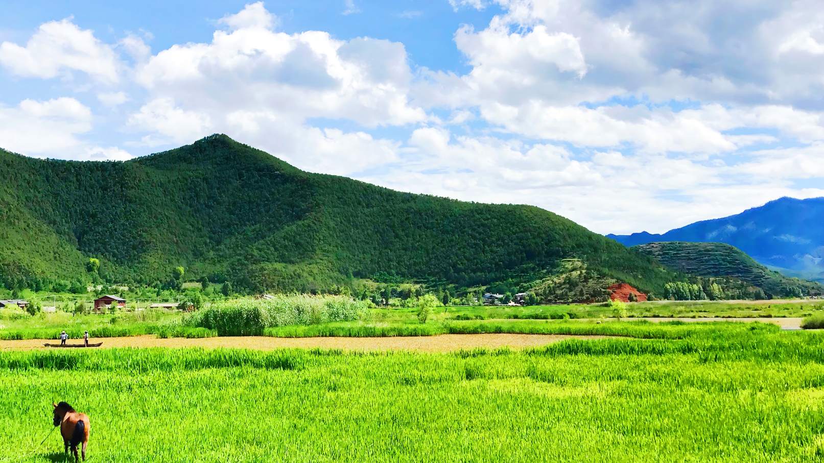 成都中秋国庆周边旅游:2026双节同庆出游指南-第1张图片-四川省中国青年旅行社官网 四川中青旅 成都中秋国庆周边旅游:2026双节同庆出游指南-第1张图片-四川省中国青年旅行社官网 四川中青旅