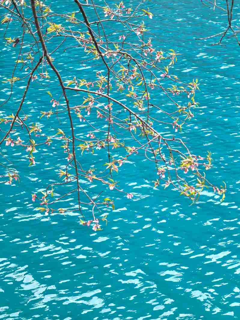 九寨沟旅游景点:2026核心海子、瀑布与观景机位盘点-第2张图片-四川省中国青年旅行社官网 四川中青旅 九寨沟旅游景点:2026核心海子、瀑布与观景机位盘点-第2张图片-四川省中国青年旅行社官网 四川中青旅