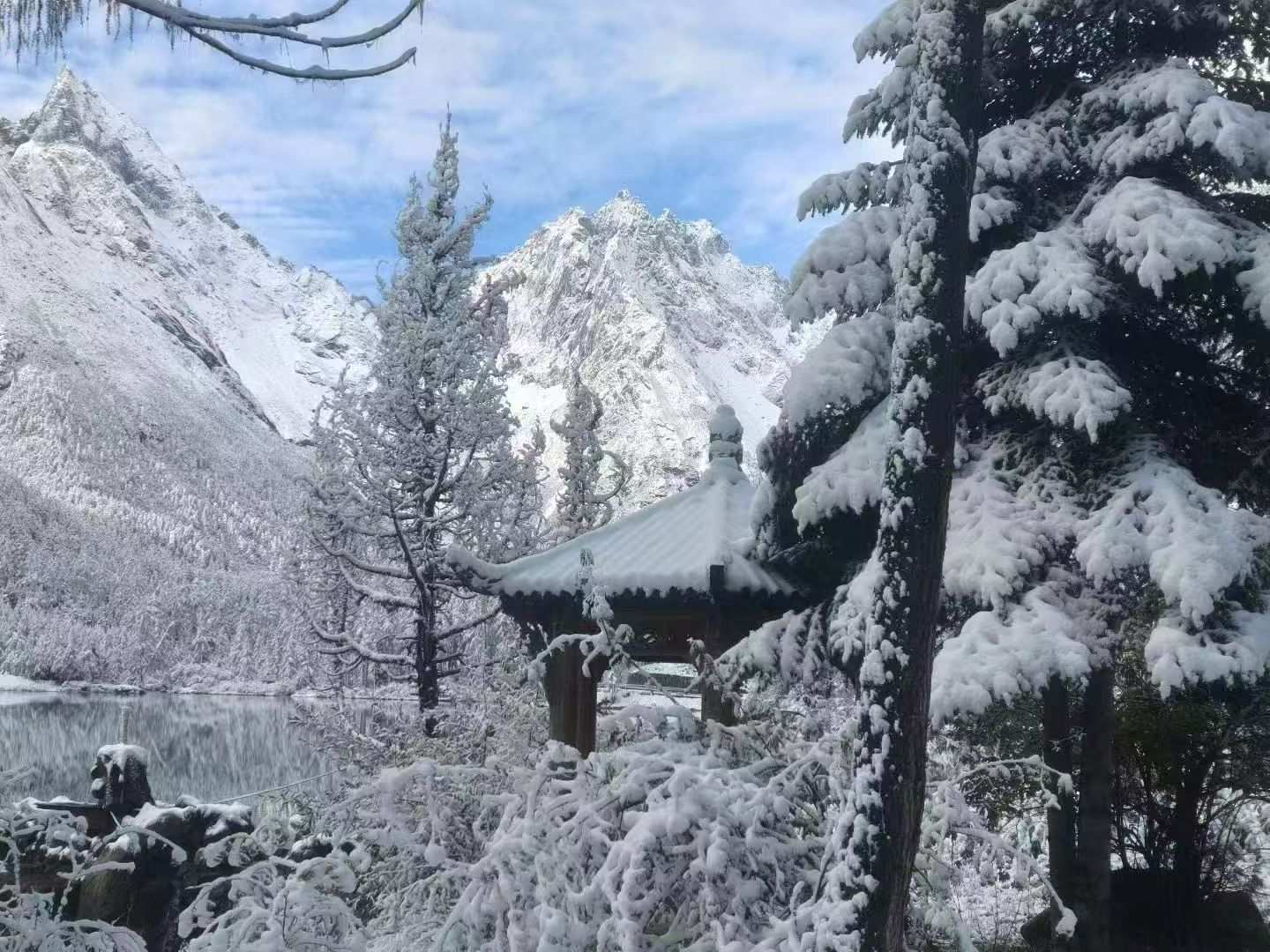 毕棚沟今日下雪了?雪景实拍与国庆出行指南-第1张图片-四川省中国青年旅行社官网 四川中青旅 毕棚沟今日下雪了?雪景实拍与国庆出行指南-第1张图片-四川省中国青年旅行社官网 四川中青旅