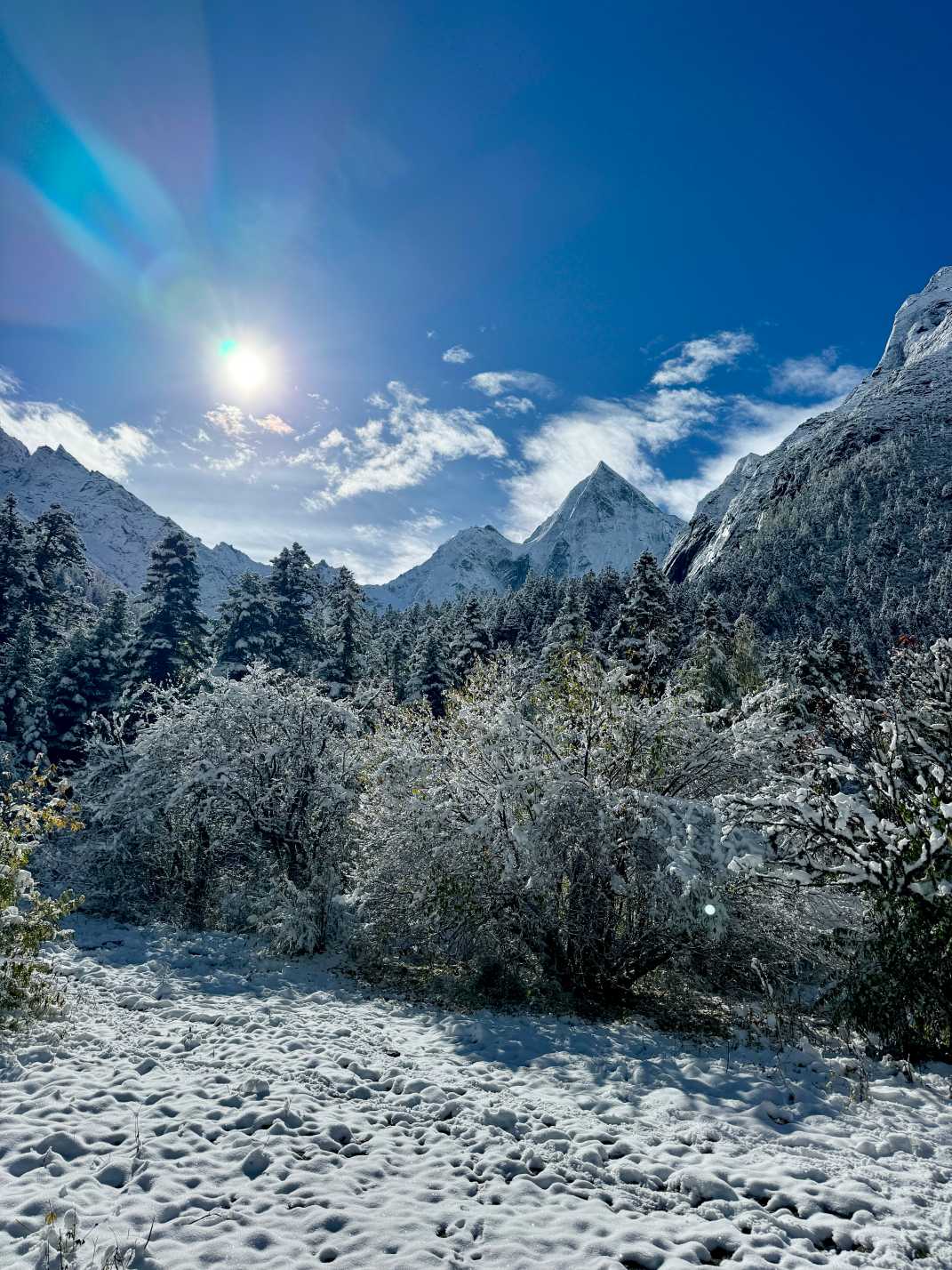 毕棚沟旅游费用|雪景实拍图片、冬季预算清单与省钱建议-第1张图片-四川省中国青年旅行社官网 四川中青旅 毕棚沟旅游费用|雪景实拍图片、冬季预算清单与省钱建议-第1张图片-四川省中国青年旅行社官网 四川中青旅